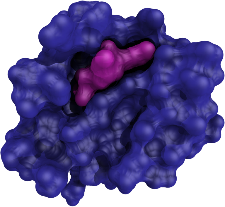 Frontier Medicines Dual KRASG12C Inhibitor